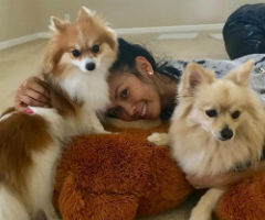 Tia Cao with her two dogs, which are certified emotional support animals.