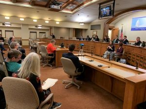 Assembly Committee on Campaigns and Elections public hearing