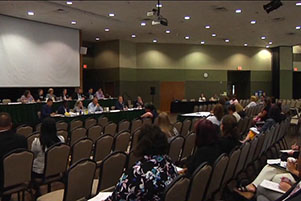 Speaker's Task Force on Adoption holds first public hearing at UW-Green Baying in Wisconsin.